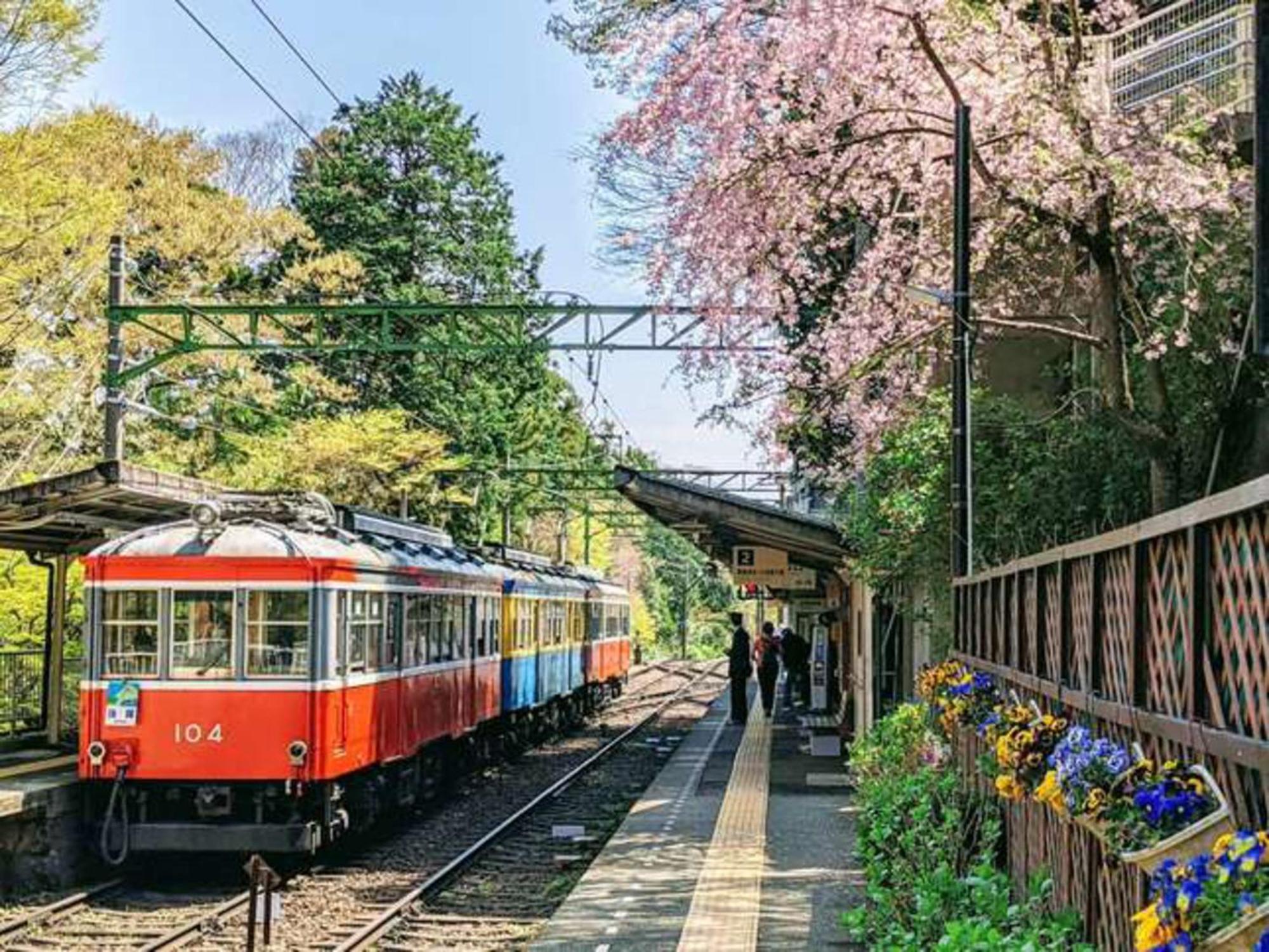 Hotel Shikinoyakata Hakone Ashinoko Zewnętrze zdjęcie