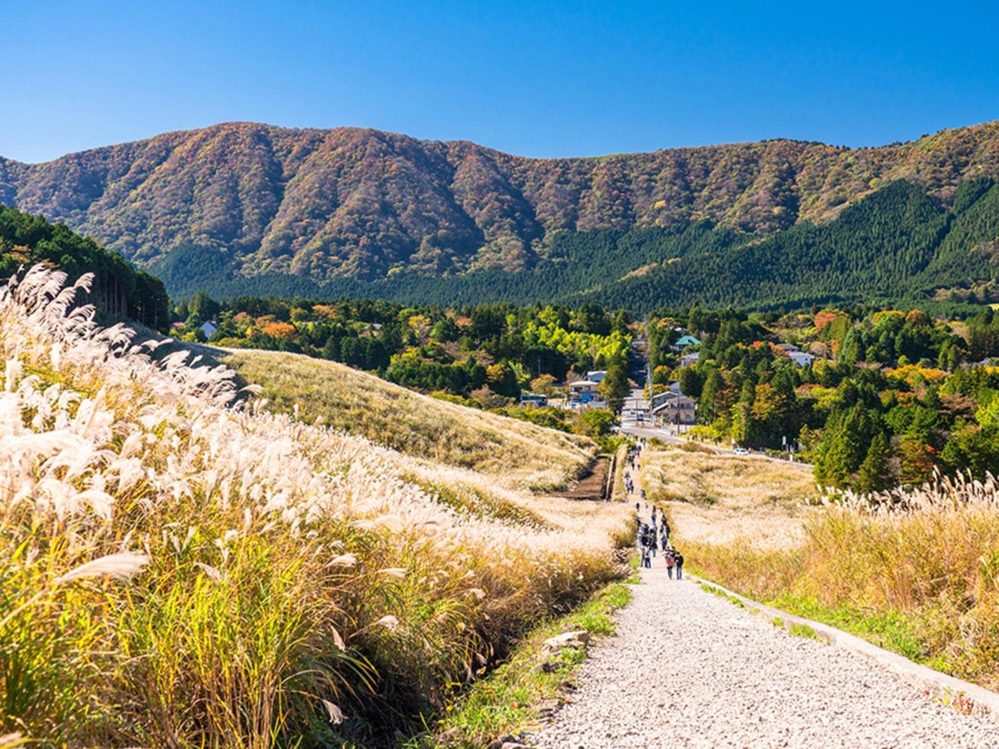 Hotel Shikinoyakata Hakone Ashinoko Zewnętrze zdjęcie